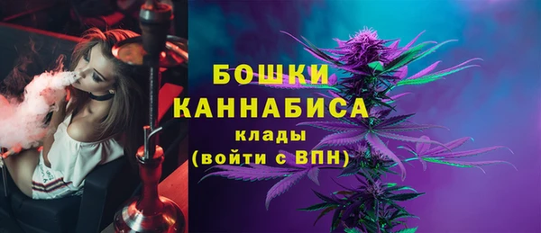 2c-b Каменногорск