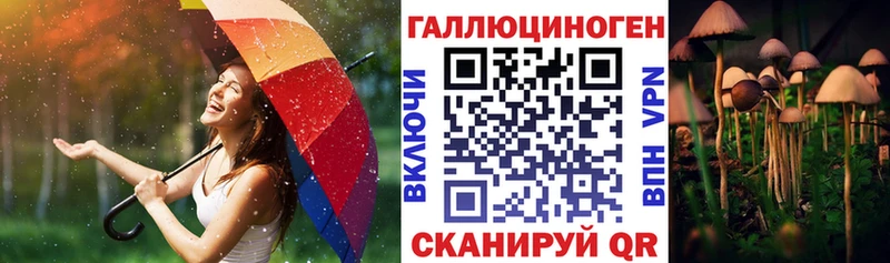 Галлюциногенные грибы GOLDEN TEACHER  Купить  Рудня 