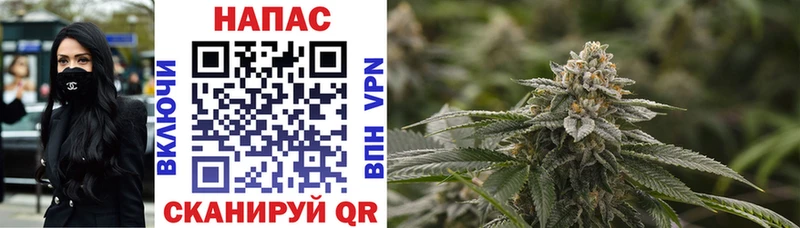 Бошки Шишки THC 21%  Купить где  Рудня 